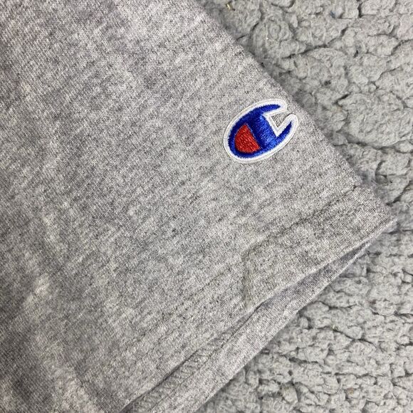 Champion ONEONTA Red Dragons T-Shirt Mens S STATE UNIVERSITY NEW YORK Gray *READ - Picture 5 of 10